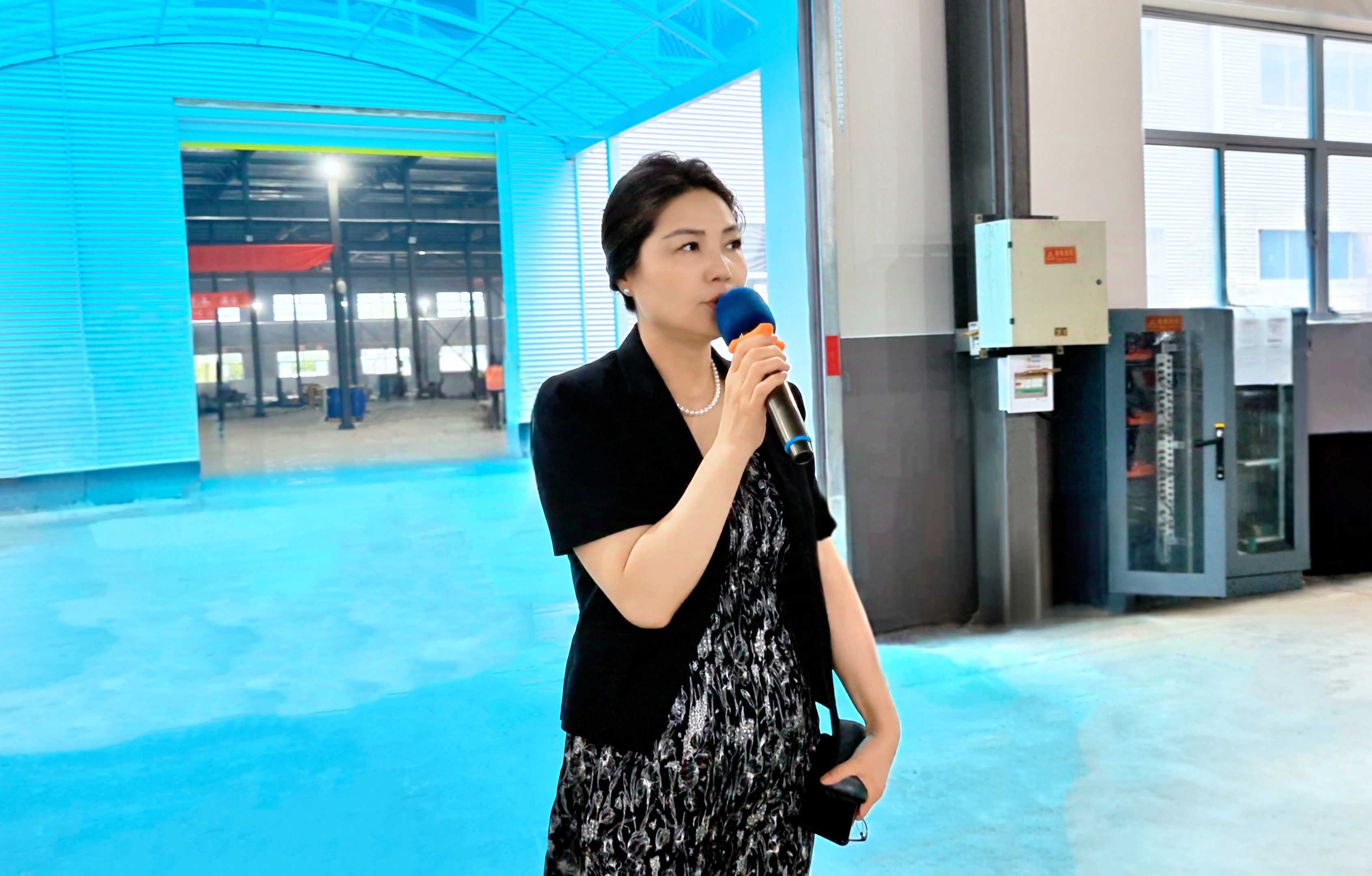 安徽得潤(rùn)電氣技術(shù)有限公司總經(jīng)理劉琴芳親臨現(xiàn)場(chǎng)做安全生產(chǎn)指示