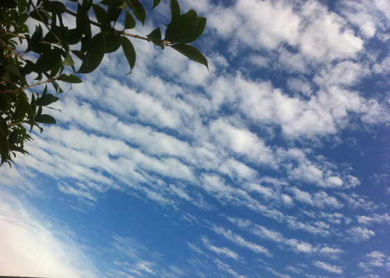 安徽得潤(rùn)電氣 高低壓開(kāi)關(guān)柜 變頻柜 咨詢熱線4000551777 安徽得潤(rùn)電氣 高低壓開(kāi)關(guān)柜 變頻柜 咨詢熱線4000551777